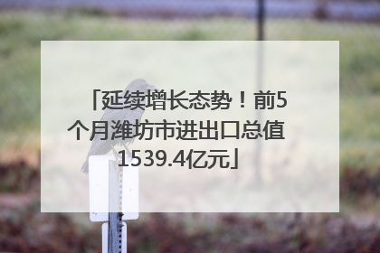 延续增长态势！前5个月潍坊市进出口总值1539.4亿元