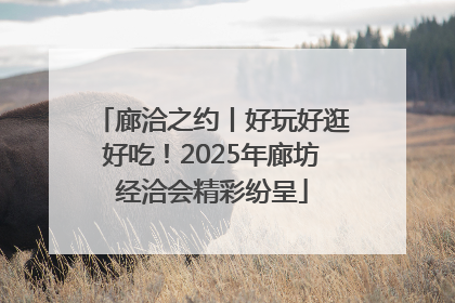 廊洽之约丨好玩好逛好吃！2025年廊坊经洽会精彩纷呈