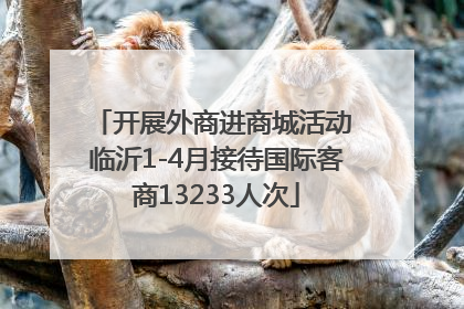 开展外商进商城活动 临沂1-4月接待国际客商13233人次