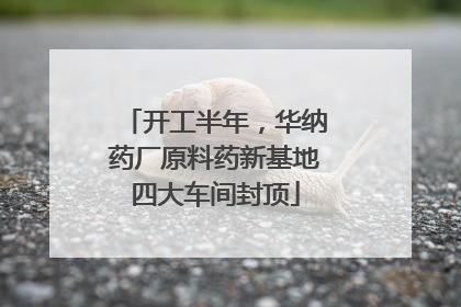 开工半年，华纳药厂原料药新基地四大车间封顶