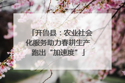 开鲁县：农业社会化服务助力春耕生产跑出“加速度”