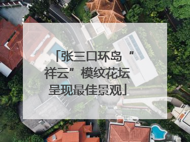 张三口环岛“祥云”模纹花坛呈现最佳景观
