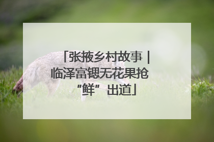 张掖乡村故事｜临泽富锶无花果抢“鲜”出道