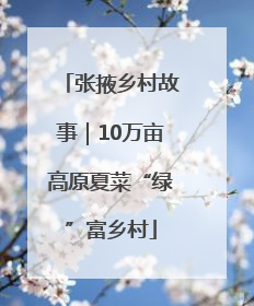 张掖乡村故事｜10万亩高原夏菜“绿”富乡村
