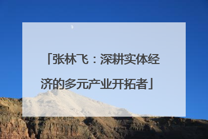张林飞：深耕实体经济的多元产业开拓者