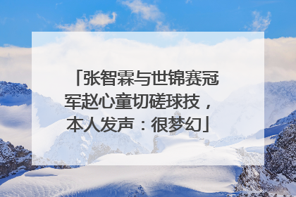 张智霖与世锦赛冠军赵心童切磋球技，本人发声：很梦幻