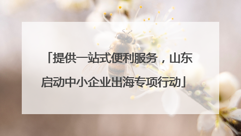 提供一站式便利服务，山东启动中小企业出海专项行动