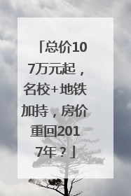 总价107万元起，名校+地铁加持，房价重回2017年？