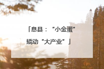 息县：“小金蛋”撬动“大产业”