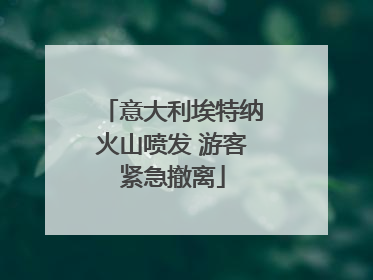 意大利埃特纳火山喷发 游客紧急撤离