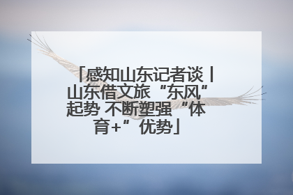 感知山东记者谈丨山东借文旅“东风”起势 不断塑强“体育+”优势