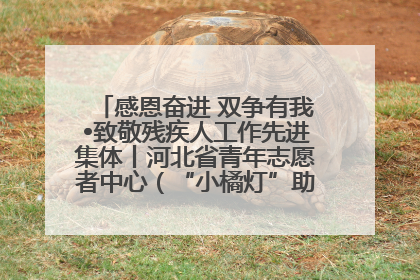 感恩奋进 双争有我•致敬残疾人工作先进集体丨河北省青年志愿者中心（“小橘灯”助残接力计划实施团队）：用温暖陪伴，守护特殊孩子成长