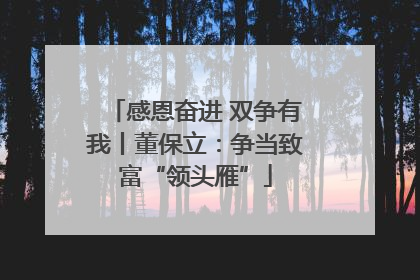感恩奋进 双争有我丨董保立：争当致富“领头雁”