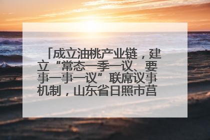 成立油桃产业链，建立“常态一季一议、要事一事一议”联席议事机制，山东省日照市莒县果庄镇——13个党小组“全周期”育果