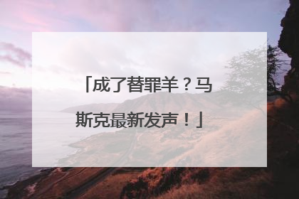 成了替罪羊？马斯克最新发声！
