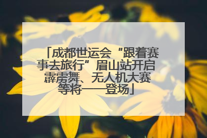 成都世运会“跟着赛事去旅行”眉山站开启 霹雳舞、无人机大赛等将一一登场