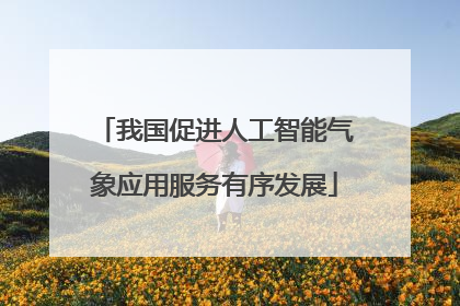 我国促进人工智能气象应用服务有序发展