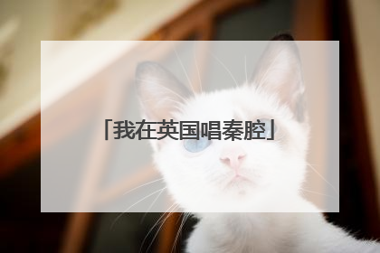 我在英国唱秦腔