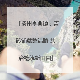 扬州李典镇：青砖铺就整洁路 共治绘就新田园