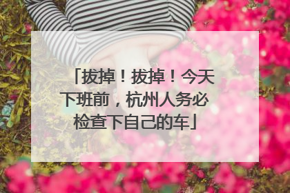 拔掉！拔掉！今天下班前，杭州人务必检查下自己的车