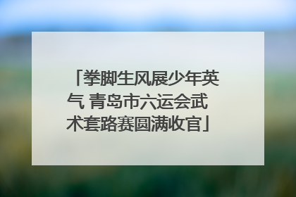 拳脚生风展少年英气 青岛市六运会武术套路赛圆满收官