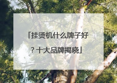 挂烫机什么牌子好？十大品牌揭晓