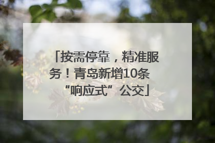 按需停靠，精准服务！青岛新增10条“响应式”公交