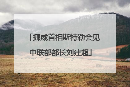 挪威首相斯特勒会见中联部部长刘建超