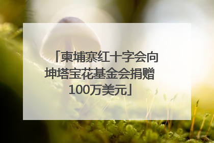 柬埔寨红十字会向坤塔宝花基金会捐赠100万美元