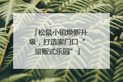 松鼠小镇焕新升级，打造家门口“量贩式乐园”