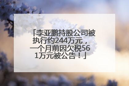 李亚鹏持股公司被执行约244万元，一个月前因欠税561万元被公告！