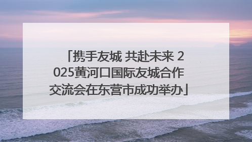 携手友城 共赴未来 2025黄河口国际友城合作交流会在东营市成功举办