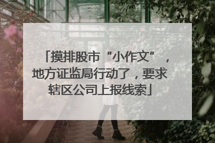 摸排股市“小作文”，地方证监局行动了，要求辖区公司上报线索