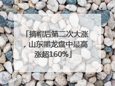 摘帽后第二次大涨，山东墨龙盘中最高涨超160%