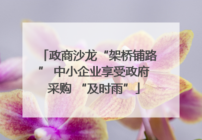 政商沙龙“架桥铺路” 中小企业享受政府采购 “及时雨”