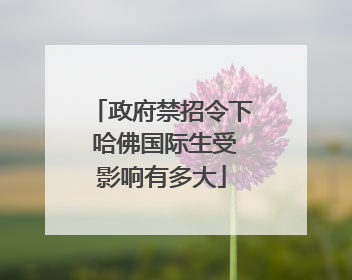 政府禁招令下 哈佛国际生受影响有多大