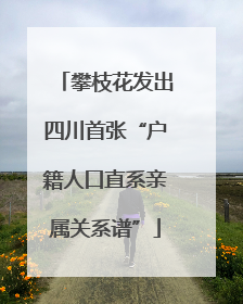 攀枝花发出四川首张“户籍人口直系亲属关系谱”