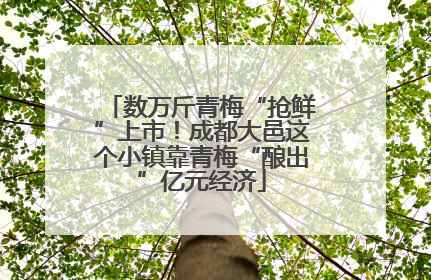 数万斤青梅“抢鲜”上市！成都大邑这个小镇靠青梅“酿出”亿元经济