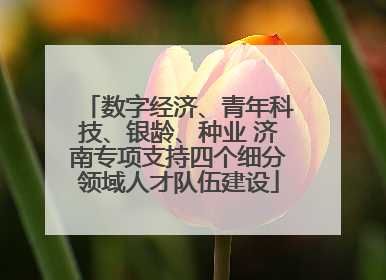 数字经济、青年科技、银龄、种业 济南专项支持四个细分领域人才队伍建设