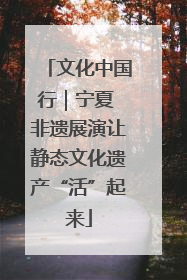 文化中国行｜宁夏 非遗展演让静态文化遗产“活”起来