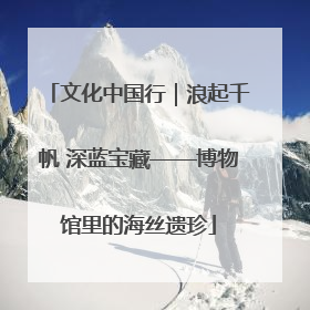 文化中国行｜浪起千帆 深蓝宝藏——博物馆里的海丝遗珍