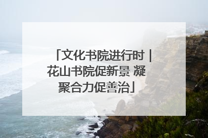 文化书院进行时｜花山书院促新景 凝聚合力促善治