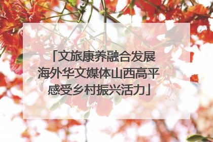 文旅康养融合发展 海外华文媒体山西高平感受乡村振兴活力