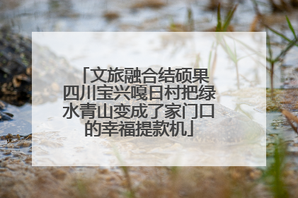 文旅融合结硕果 四川宝兴嘎日村把绿水青山变成了家门口的幸福提款机