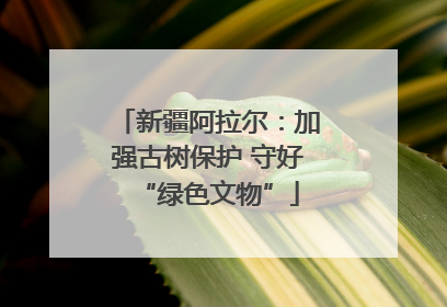新疆阿拉尔：加强古树保护 守好“绿色文物”