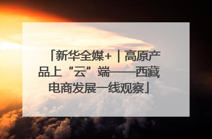 新华全媒+｜高原产品上“云”端——西藏电商发展一线观察