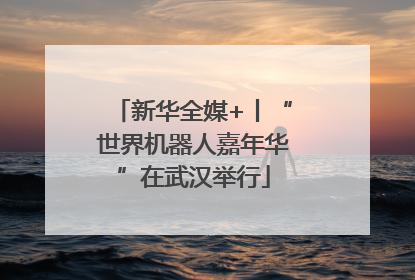 新华全媒+丨“世界机器人嘉年华”在武汉举行