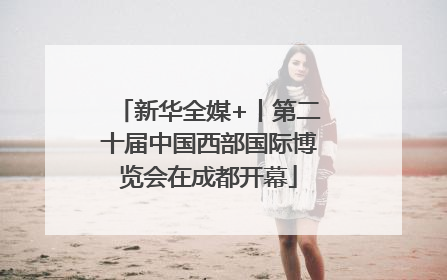 新华全媒+丨第二十届中国西部国际博览会在成都开幕