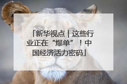 新华视点｜这些行业正在“爆单”！中国经济活力密码