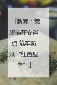 新晃：党旗插在安置点 筑牢防汛“红色堡垒”
